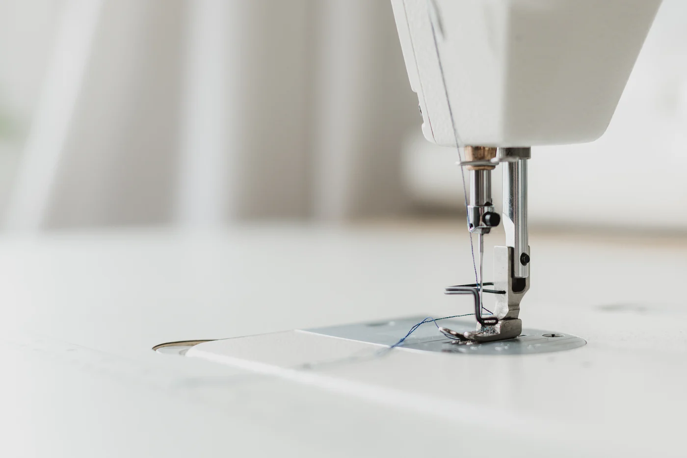Craft Your Masterpiece with Hollies